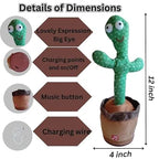 Talking & Dancing Cactus